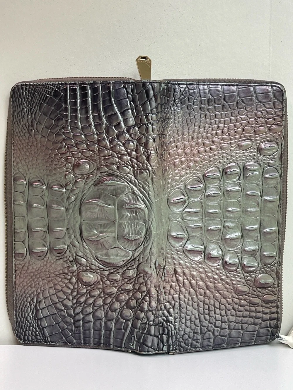 Brahmin The Skyler Clutch